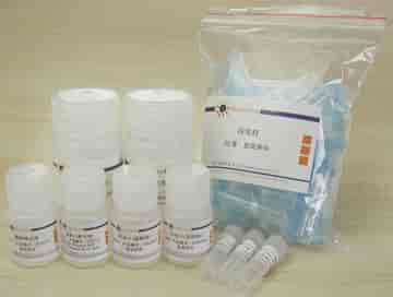 Plasmid Extraction Kit (Yeast)